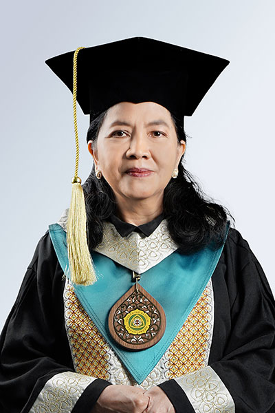 Prof. Dr. lr. Veronica Sri Moertini, M.T.